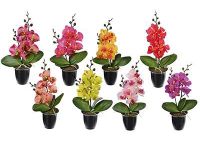 Миниатюра: Цветочная композиция 23см Орхидея цвет микс