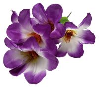 Миниатюра: Цветы искусственные Букет Магнолия 5шт 36см фиолетовый+белый BUK2-44 @