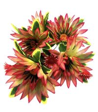 Миниатюра: Цветы искусственные Букет Астра 5шт 50см игольчатая бежевый с розовым краем BUK-2 @