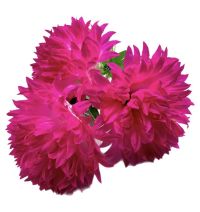 Миниатюра: Цветы искусственные Букет MAXI Георгин 3гол. 65см розовый-голубой d-20см BUK-3-55-1@