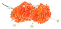 Миниатюра: Цветы искусственные Букет Гвоздика 5шт 50см оранжевый+белыйй BUK2-57  @