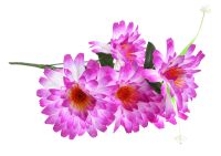Миниатюра: Цветы искусственные Букет Гербера 7шт 48см фиолет+белый BUK2-69@