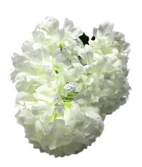 Миниатюра: Цветы искусственные Букет Хризантема 5шт 51см белая  BUK-1@