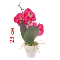 Миниатюра: Цветочная композиция Орхидея 19см