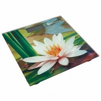 Миниатюра: Весы напольные эл. 180кг 26*26см Василиса Кувшинка
