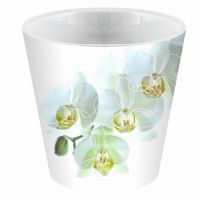 Миниатюра: Горшок для цветов пласт. 1,6л (160*160*145мм), дренаж. вставка London Orchid Deco белая орхидея