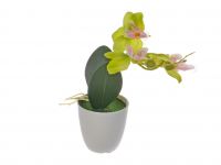 Миниатюра: Цветочная композиция Орхидея