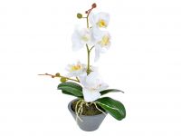 Миниатюра: Цветочная композиция Орхидея 17,5*33см