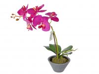 Миниатюра: Цветочная композиция Орхидея 15*38см
