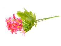 Миниатюра: Цветы искусственные Букет Колокольчик 5веток 27см пурпурно-розовый(5)@