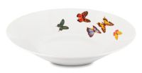 Миниатюра: Тарелка суповая 20см 250мл фарфор Бабочки (72)