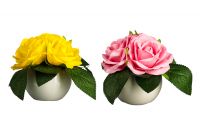 Миниатюра: Светильник в виде роз в керам. горшке 12,2*19см, питание 1хCR2032 LADECOR 2 цвета