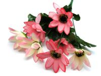 Миниатюра: Цветы искусственные Букет Цинния 7шт 30см бело-розовый@
