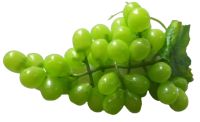 Миниатюра: Бутафория Гроздь винограда 36 ягод зеленая пласт