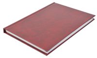 Миниатюра: Ежедневник н/д А6  96л. Проф-Пресс тв.обл. б/в Бордо 96БВ-3998