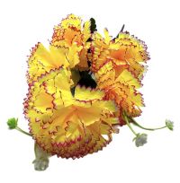 Миниатюра: Цветы искусственные Букет Гвоздика 5шт 50см махровая желтая с роз краем BUK-10@