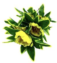 Миниатюра: Цветы искусственные Букет Кувшинка 5шт 35см желтая BUK2-16@
