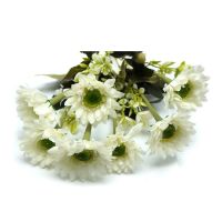 Миниатюра: Цветы искусственные Букет Хризантема 7шт 34см белый DQ23-3@