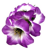 Миниатюра: Цветы искусственные Букет Мак 5шт 34см фиолет +белый BUK2-6 @