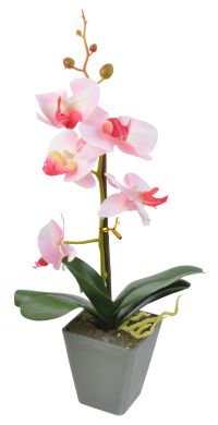 Миниатюра: Цветочная композиция Орхидея 9*26см, розовый