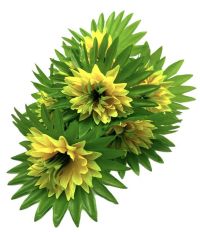 Миниатюра: Цветы искусственные Букет Астра 7шт 52см желтый BUK-2-74 @