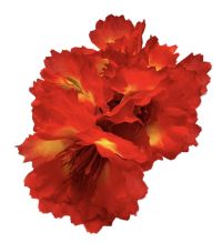 Миниатюра: Цветы искусственные Букет Клематис 5шт 33см махровый оранж BUK2-29 @
