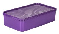 Миниатюра: Контейнер для заморозки пласт. 2,1л, ALASKA фиолетовый (12)