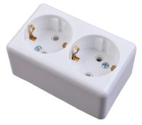 Миниатюра: Розетка сетевая о/п 2 местная с ЗК Евро РА16-017 (Пралеска)