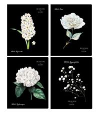 Миниатюра: Тетрадь 48л клетка BG Blossom in snow блёстки