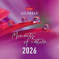 Миниатюра: Календарь-домик настольный 2026г. ХАТ Квадрат Moments of nature, 16*10,5см, 115гр/м2