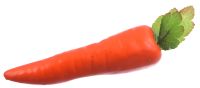 Миниатюра: Бутафория Морковь@