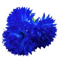 Миниатюра: Цветы искусственные Букет MAXI Георгин 3гол. 65см синий+голубой d-20см BUK-3-55-1 @
