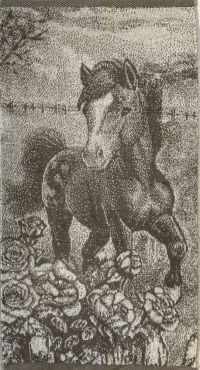 Миниатюра: Полотенце 30*60см Жеребенок 3Д гаванна Символ года 2026