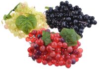 Миниатюра: Бутафория Виноград средний 4 цвета@