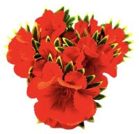 Миниатюра: Цветы искусственные Букет Георгин 7шт 52см оранжевый 24-7-9@