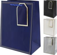 Миниатюра: Пакет (сумка) подарочный 18*10*23см однотонный микс