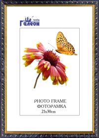 Миниатюра: Фоторамка пласт. 21*30cм с акриловым стеклом @