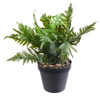 Миниатюра: Цветочная композиция Папоротник 23см