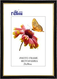 Миниатюра: Фоторамка пласт. 21*30cм @
