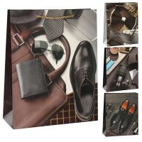 Миниатюра: Пакет подарочный 24*18*8,5 микс мужской