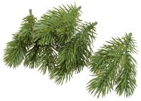 Миниатюра: Декор «Веточка ели», набор 5шт 12*9см