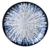 Миниатюра: Тарелка плоская 20см Blue star фарфор