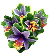 Миниатюра: Цветы искусственные Букет Гибискус 5шт 35см сиреневый BD-3-10@