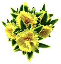 Миниатюра: Цветы искусственные Букет Циния 7гол.51см желтая 24-7-11@