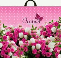 Миниатюра: Пакет петля ПВД 60*50см 70мкм Овация