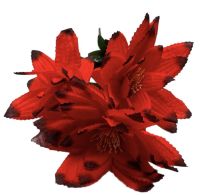 Миниатюра: Цветы искусственные Букет MAXI Георгин 3шт 60см  красный с борд.краем B-3-G-3 @