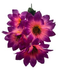 Миниатюра: Цветы искусственные Букет Георгин 5шт 50см роз.с фиолет.краем 2526/50-15@