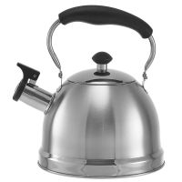 Миниатюра: Чайник нерж. 2,5л, свисток, складная нерж. ручка с пласт. вставкой, индукция WEBBER (12)@