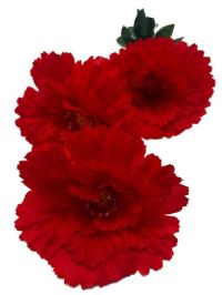 Миниатюра: Цветы искусственные Букет MAXI Гвоздика 3гол. 58см красный B-3-M-1@