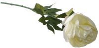 Миниатюра: Цветок искусственный 9*9*48,5см Пион белый